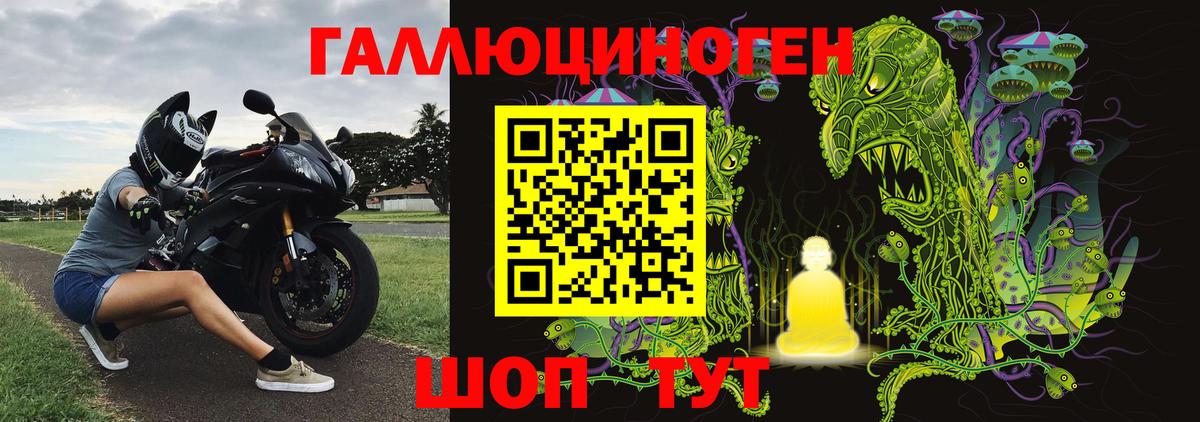 Псилоцибиновые грибы GOLDEN TEACHER Кандалакша